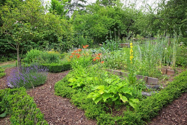 View of a farm garden with paths from barkweed