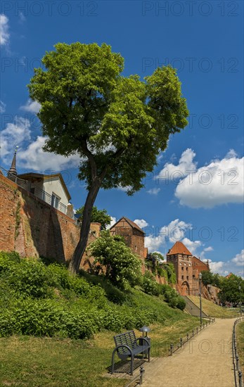 City wall and castle gate