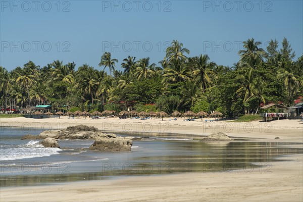 Sandy beach with palm trees