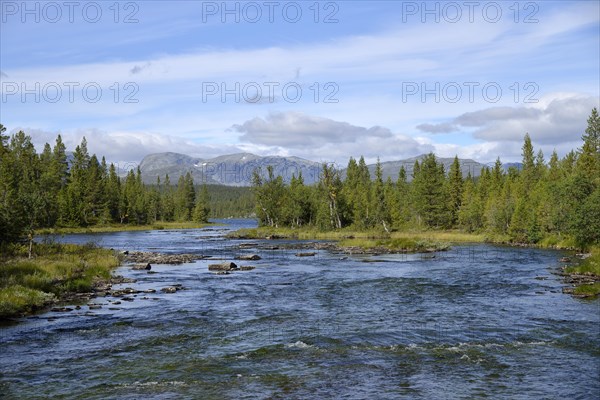 River landscape