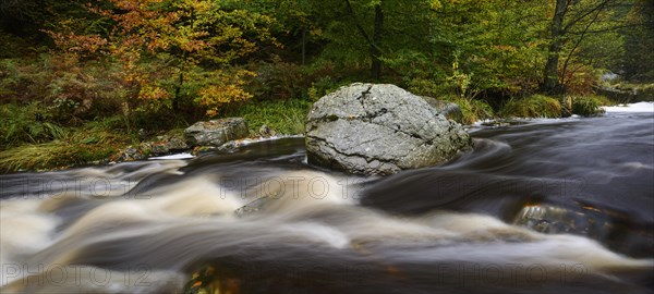 Stream of the Hoegne in autumn