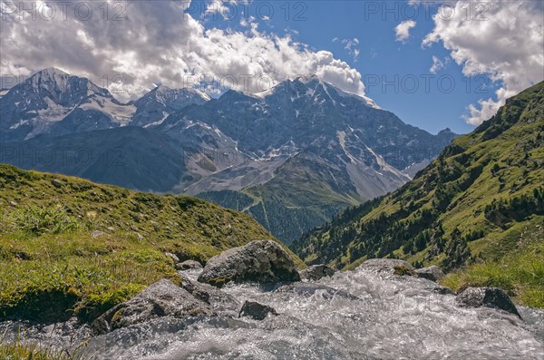 Mountain creek in front of the Ortlermassiv