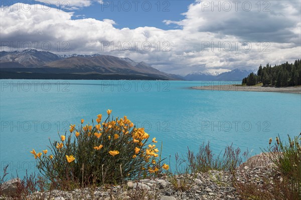 Lake Pukaki