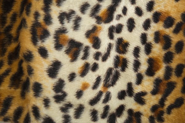 Leopard skin