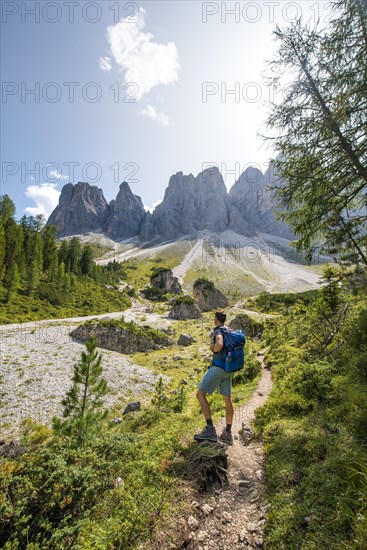 Hikers on the hiking trail to the Geisleralm in the Villnosstal valley below the Odle peaks