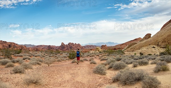 Young male hiker on White Dome Trail