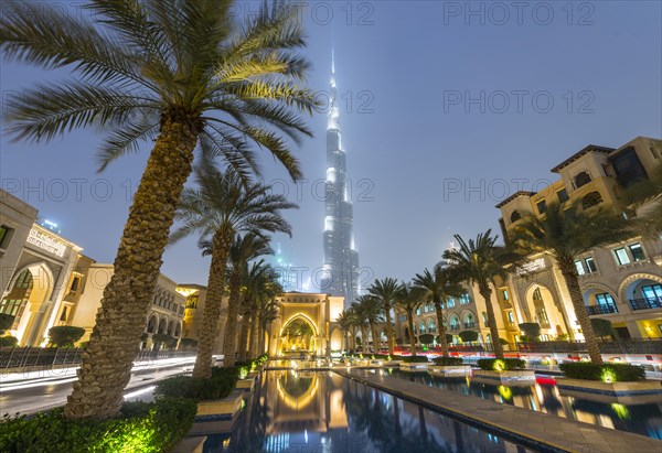 Palm trees and fountains