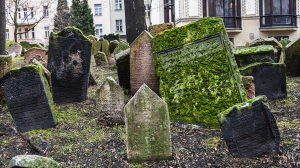 Grave stones