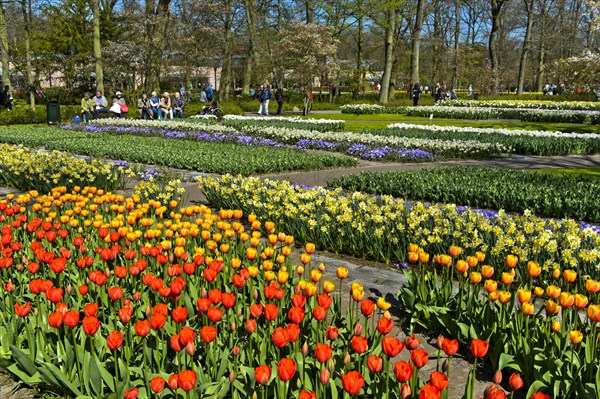 Colorful flower beds