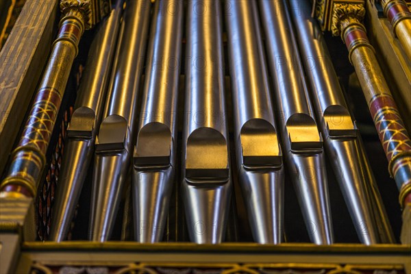 Organ pipes