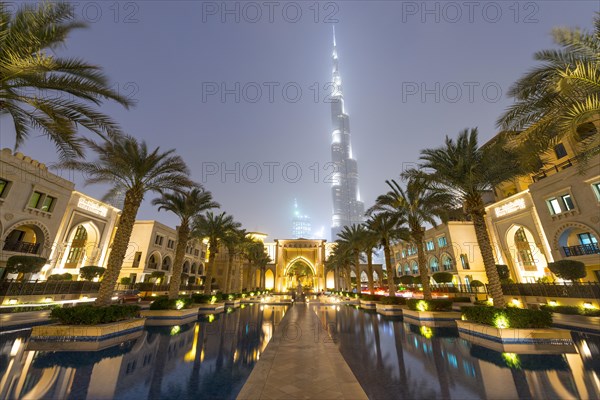 Palm trees and fountains