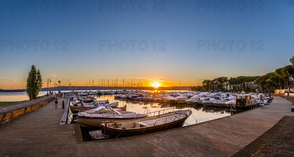 Boats in the harbor