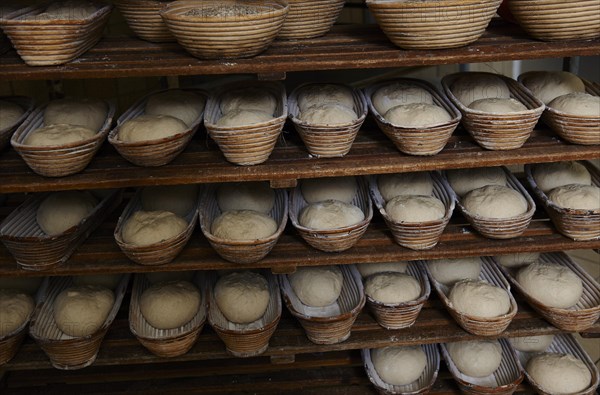 Organic bakery preparing bread loaves in baking baskets