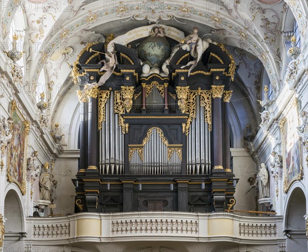 Organ