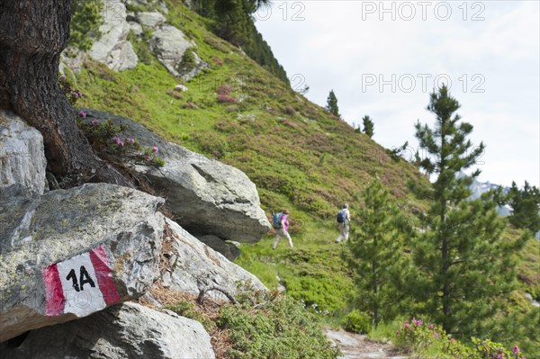 Hikers hike on marked hiking trail Reiner Hohenweg 1A