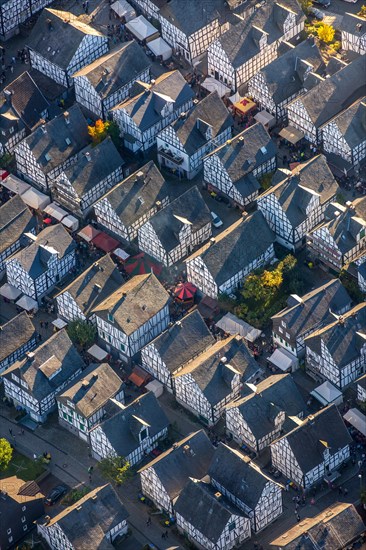 Half-timbered houses