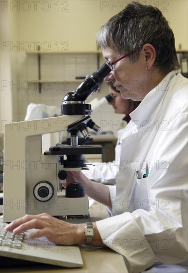 Laboratory assistant in the medical laboratory at the microscope