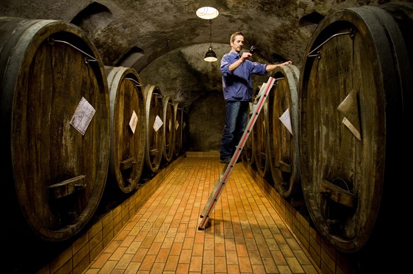 Wine cellar