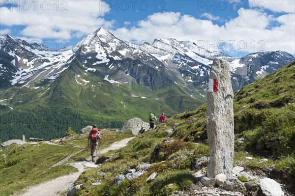 Three hikers on hiking trail