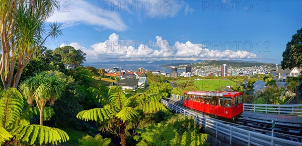 Panoramic view of Wellington with the historic cable car