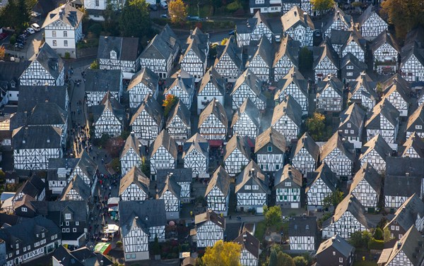 Half-timbered houses