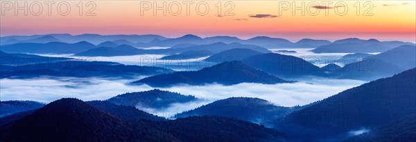 Pfalzer Wald