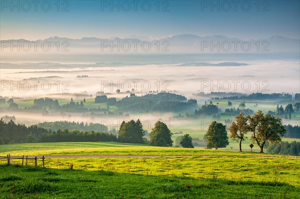 View from the Auerberg near Bernbeuren