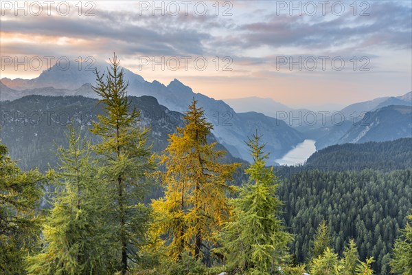 Mountain panorama