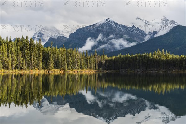 Herbert Lake