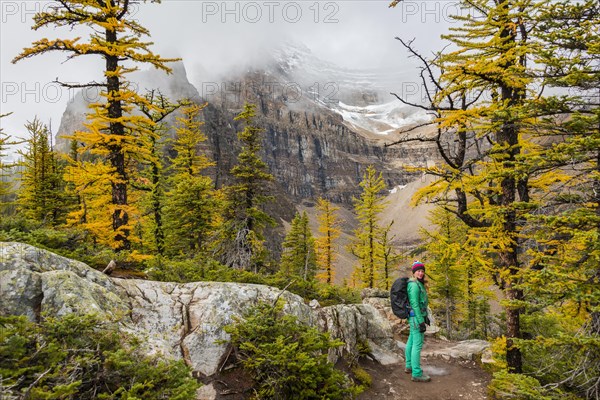 Hiker at the summit of The Beehive