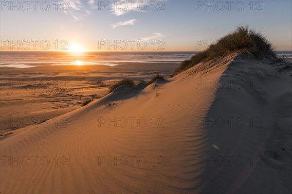 Sunset at the wide sandy beach with sand dunes at the coast