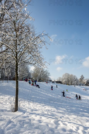 Children tobogganing at sled mountain