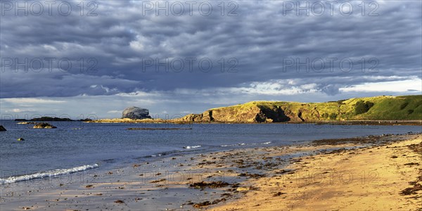 Natural coast on Firth of Forth