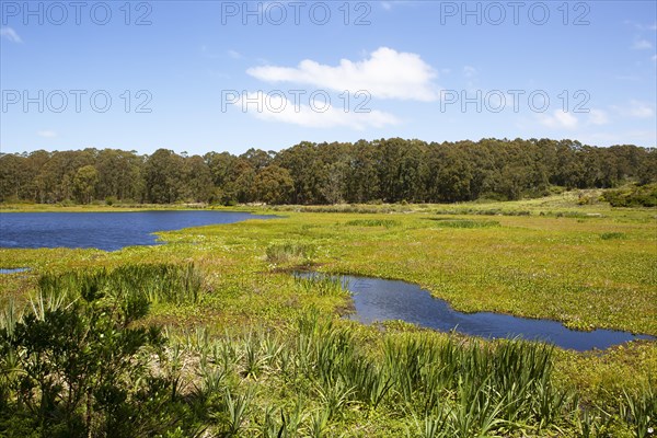 Laguna de Pena