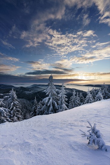 Wintery morning atmosphere on the Hornisgrinde