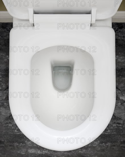 Toilet bowl