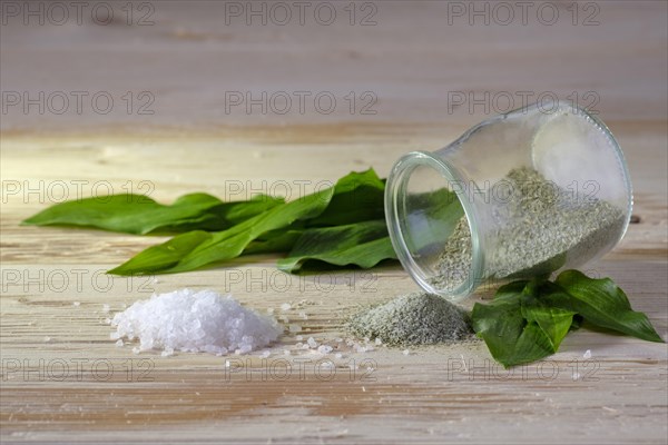 Herbal salt with Ramsom (Allium ursinum)