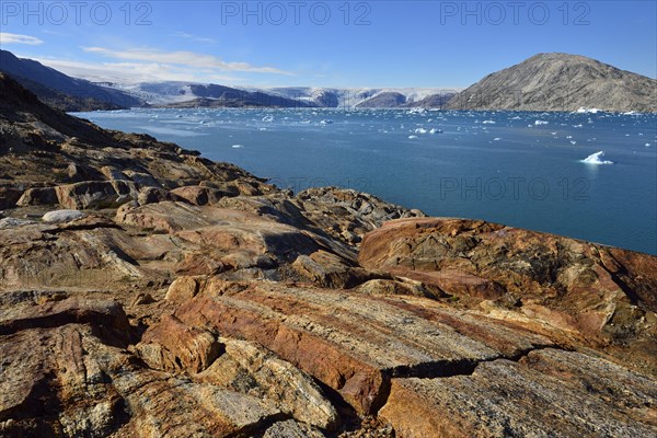 Johan Petersen Fjord with growlwers