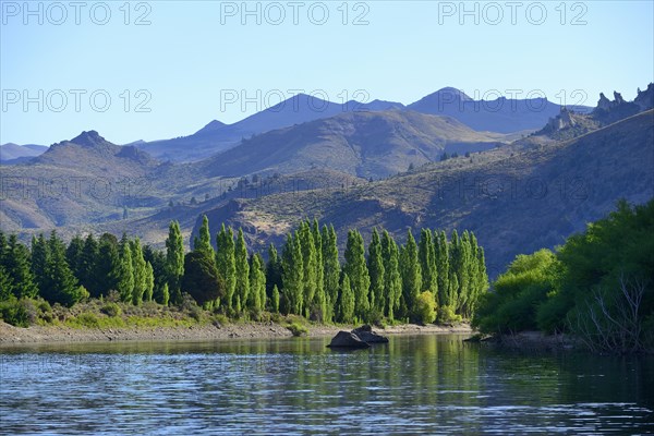 Green valley at Rio Limay