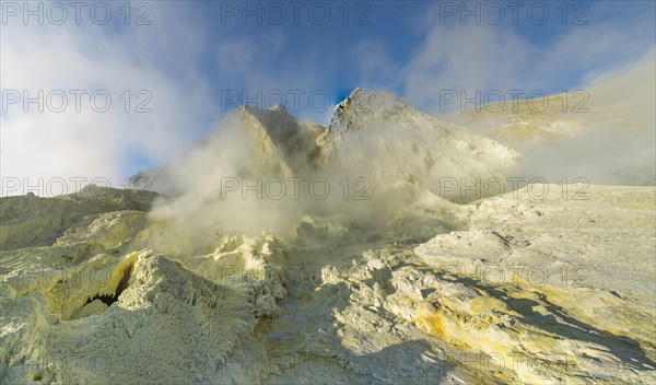 Yellow sulphur and fumarole on the volcanic island of White Island