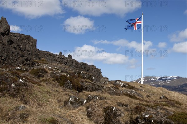 Icelandic Flag