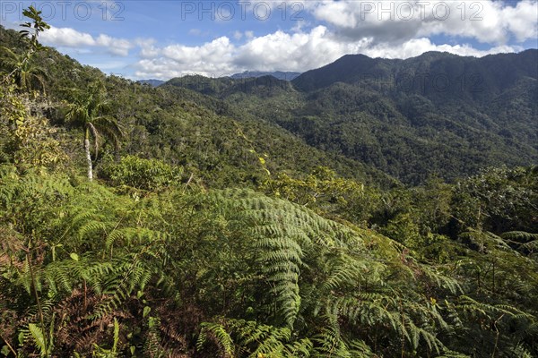 View of the mountainous landscape in Turquino National Park