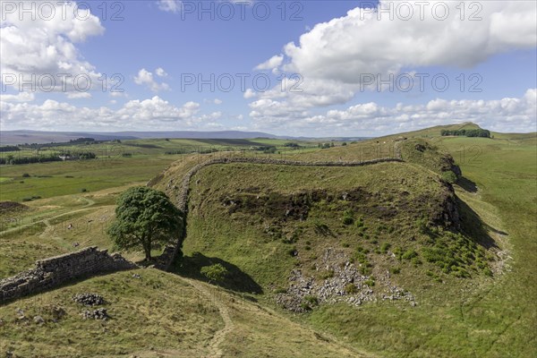 Sycamore Gap