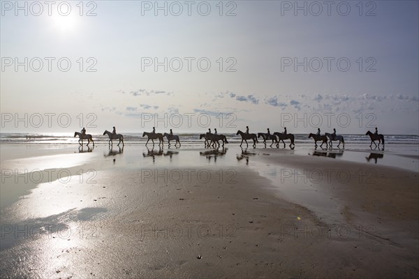 Group of riders on horses backlit on the beach