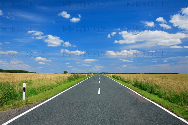 Country road through fields in summer