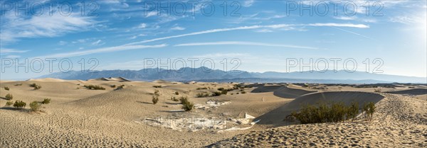 Mesquite Flat Sand Dunes