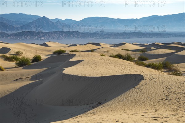 Mesquite Flat Sand Dunes