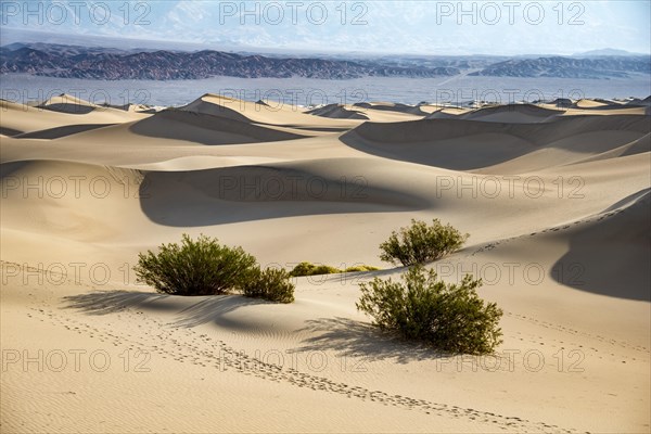 Mesquite Flat Sand Dunes