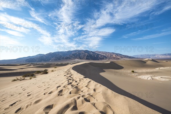 Sand dune tracks
