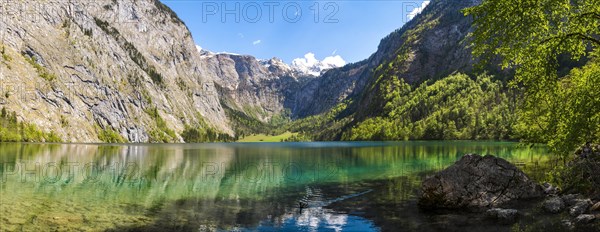 Obersee